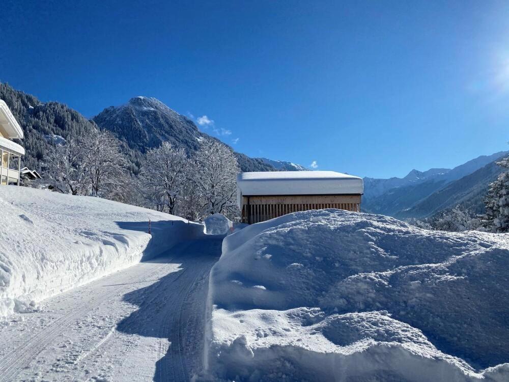 Haus Albuin Lägenhet Sankt Gallenkirch Exteriör bild